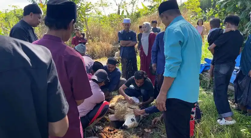 Penyembelihan Hewan Kurban Kambing Dilaksanakan Sesuai Syariat Islam pada Hari Raya Idul Adha